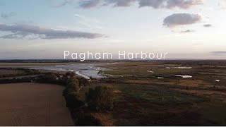 My Year at Pagham Harbour