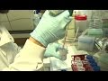 Human trials offer hope for Ebola vaccine