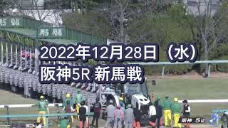 2022年12月28日（水）阪神5R 2歳新馬レース映像【ランスオブサウンド】