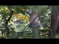 京都御所の歩き方 walking around kyoto imperial palace