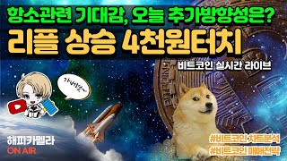 비트코인 실시간, 리플 4천원 터치, 항소 관련 기대감! 추가 방향성은? 1/15 아침💎#비트코인 #비트코인실시간 #이더리움 #리플 #cryptocurrency #차트분석