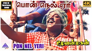 Pon Nel Yeri 4K HD Video Song | Uzhavan Magan Movie Songs | Vijayakanth | Raadhika | Radha