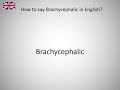 How to say Brachycephalic in English?