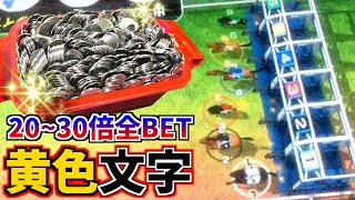 20倍〜30倍の全ての馬にマックスBETしてみた結果がヤバすぎたwww【みんなでダービー】