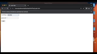 Different ways to enter values into text fields using Selenium WebDriver