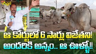 Prathipadu Bulls Victories | ఆ కోర్టులో 6సార్లు విజేతని..! అందరికి అన్నం.. ఆ ఊళ్ళో..!! Tone Agri