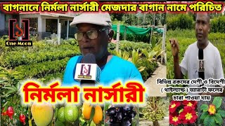 বাগনান নির্মলা নার্সারি || ONE MOON || BAGNAN NIRMALA NURSERY || HOWRAH NURSERY