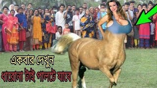 রহস্যময় অর্ধ মানব অর্ধ ঘোড়া।Mysterious centaur skeleton,আজব মানুষ আল্লাহর কুদরতি কারিশমা।আজব ঘোড়া।