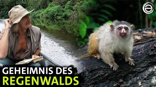 The Species Hunters of the Amazon | Erlebnis Erde