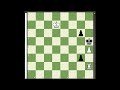 a brilliant rook maneuver to stop opponent s passed pawn