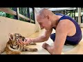 Playing with Baby Tigers at Pattaya Tiger Park ~ Thailand