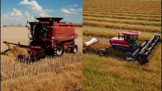 Full Canola Harvest Australia 2021 | Windrowing \u0026 Harvesting | 4K