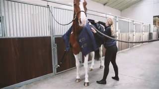 kavalio.de | KENTUCKY HORSEWEAR | How to use - TURNOUT RUG 300g!