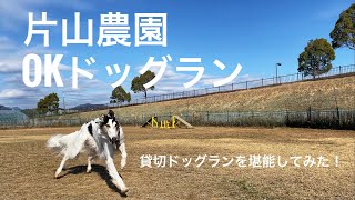 【片山農園OKドッグラン】ボルゾイ・ダックスと行く！家族総出で貸切ドッグランを堪能してみた！