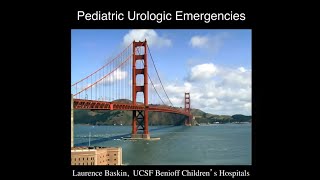 4.9.2020 Urology COViD Didactics - Pediatric Urologic Emergencies