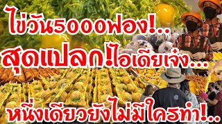 สุดแปลก!..ไข่วัน5000ฟอง ไอเดียเจ๋ง หนึ่งเดียวยังไม่มีใครทำ คนกินทั้งเมือง อร่อยทำง่ายขายโคตรดี