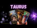 TAURUS❤️ YOU TWO ARE ABOUT TO HAVE THIS CONVERSATION….! SEPTEMBER 2024 TAROT LOVE READING