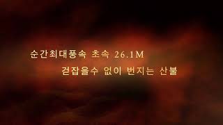 경기도소방의 강원도 산불 지원 활약상