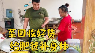 许久没去小菜园，老肥敏锅收好货，还扛回几捆香蕉给肥爸补身体【农人老肥】