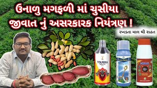 ઉનાળુ મગફળી માં ચુસીયા જીવાત નું અસરકારક નિયંત્રણ ! .   9428637911.. 84691 08821