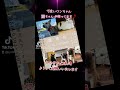 @plusde24 動物保護団体ヨンナナ ヨンナナ 徳島県 徳島市 応神町 譲渡会 里親募集 里親募集中 保護犬 保護猫　