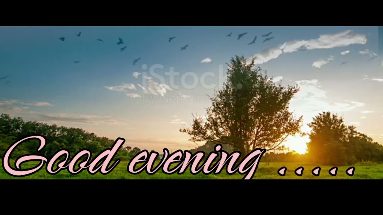 Good Evening рџњ Youtube