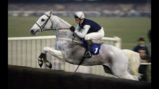 Desert Orchid Channel 4 Documentary 1989