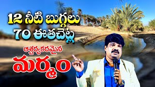 12 నీటి బుగ్గలు 70 ఈత చెట్ల ఆశ్చర్యకరమైన మర్మం! / @VKRGOSPELMEDIA