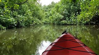 Kayaking on Hanalei River, Kauai