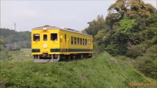 いすみ鉄道 いすみ350 戸越踏切にて