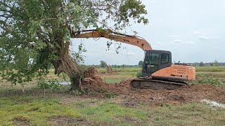 พามาดูเจ้า SANY SY135 ตีโพนปลวก โหดจัด ทีมงานดาบยันต์ excavator