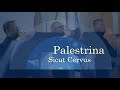 Palestrina | Sicut Cervus | Berliner Blockflöten Orchester