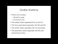 Heart Murmurs: Basic Valve Anatomy