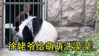 下午大熊猫萌萌睡醒了，徐姥爷陪她洗个澡，父女俩配合默契，萌萌自己洗头洗脚洗肚肚！#panda #大熊貓