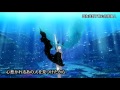 【初音ミク】 深海少女 【オリジナル】中文字幕