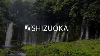 Shizuoka | Traveling to wonderful places in Japan | August 2023