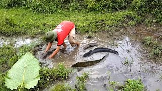 VN Daily - Boys Fishing - Amazing Fishing at Vietnam - How To catch fish by hand