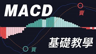 菜鳥必學！MACD終極教學