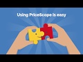 How to Use PriceScope