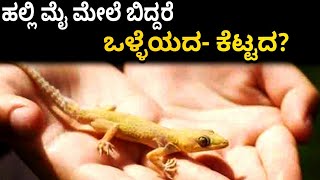 ಹಲ್ಲಿ ಮೈ ಮೇಲೆ ಬಿದ್ದರೆ ಒಳ್ಳೆಯದ- ಕೆಟ್ಟದ? | Best tips Kannada