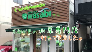 水草専門店WASABIさんに行って来ました