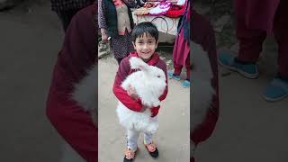 Angora Rabbit ko Naman ne God Me Liya - Manali