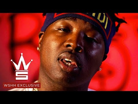 Troy Ave - The Come Up