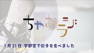 宇都宮で餃子を食べました