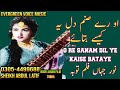 Noor jahan song | o re sanam dil yeh kaise bataye | urdu-hindi song | remix song jhankar song