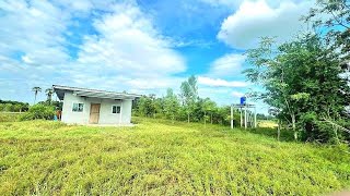 ขายที่แถมบ้าน🏡ไร่ละ 100,000 บาท💚น้ำไฟสะดวก วิวทุ่งนา🌾