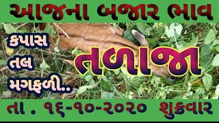 commodity price talaj talaja market yard na bhav/ajna bjar bhav talaja/આજના બજાર ભાવ તળાજા/