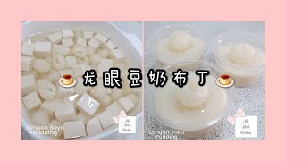 Longan Soya Pudding | 龙眼豆奶布丁