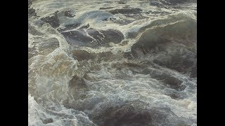 Ran Ortner Artist Talk: An Intoxicating Insistence