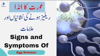 Signs and Symptoms Of Egg Release | عورت کا انڈا ریلیز ہونے کی نشانیاں اور علامات | Dr Aisha Riaz